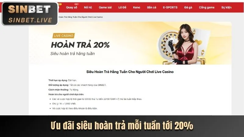 Hoàn trả cược đá gà không giới hạn